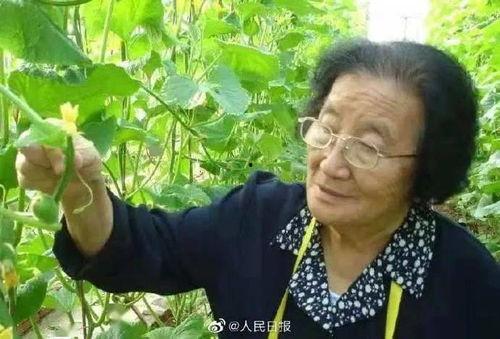 娱乐吃瓜酱人多的地铁,娱乐吃瓜酱成热门话题  第2张