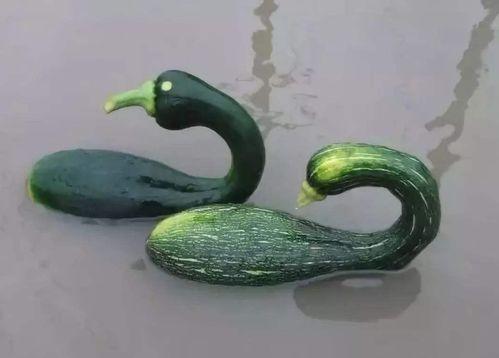 博雅吃瓜网红是谁啊图片,网络红人的崛起之路  第3张