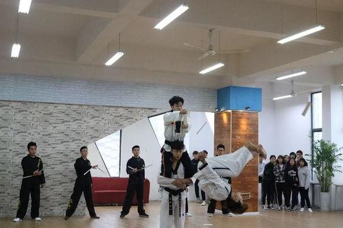 烟台爆料最新新闻联播,新闻联播聚焦城市新发展与民生改善  第3张