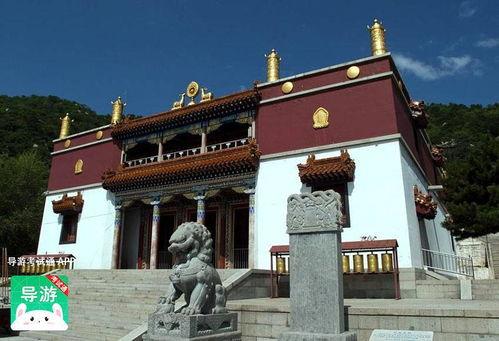 阜新导游爆料网最新动态,揭秘旅游行业最新动态与内幕  第1张